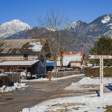 Rozalija Appartamento Preddvor