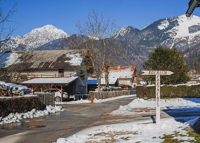 Rozalija Appartamento Preddvor